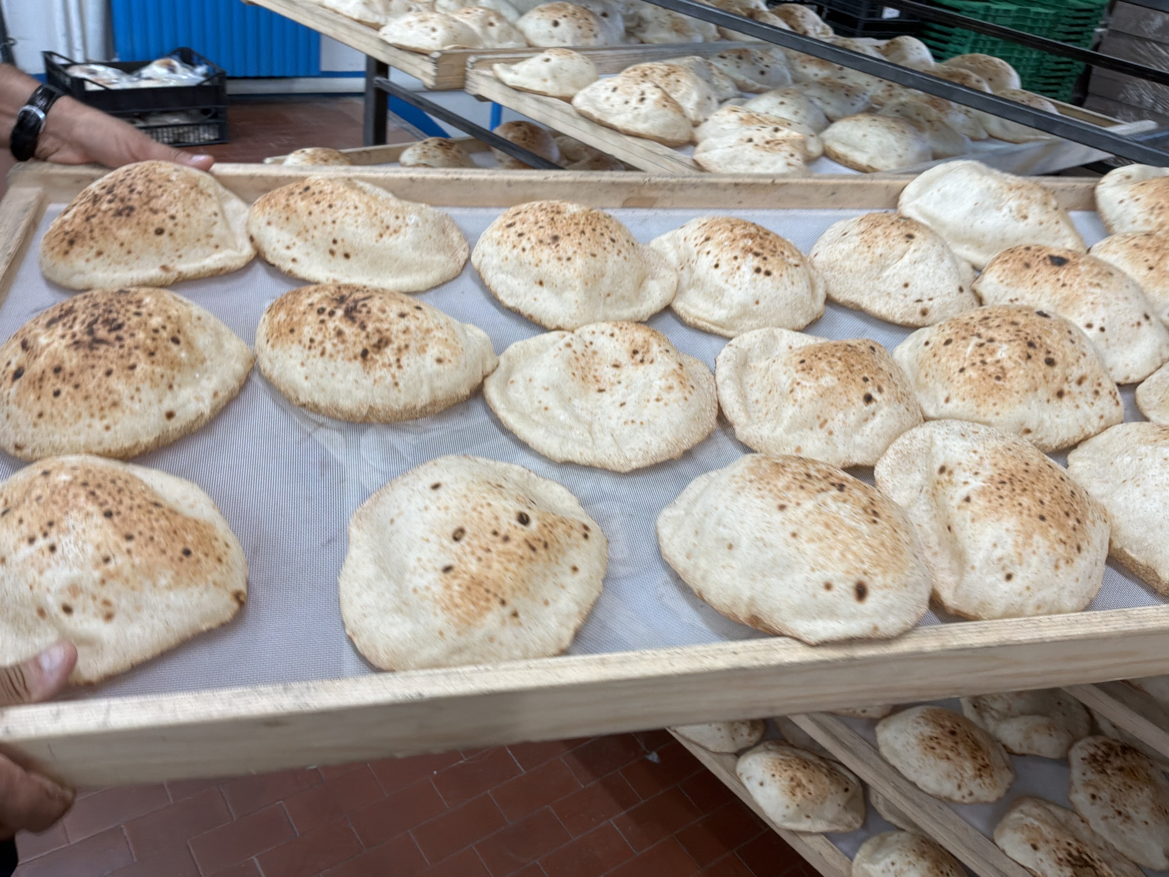 Authentisches ägyptisches Baladi-Brot